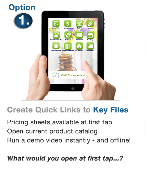 Custom business app for iPad Custom business app for iPad